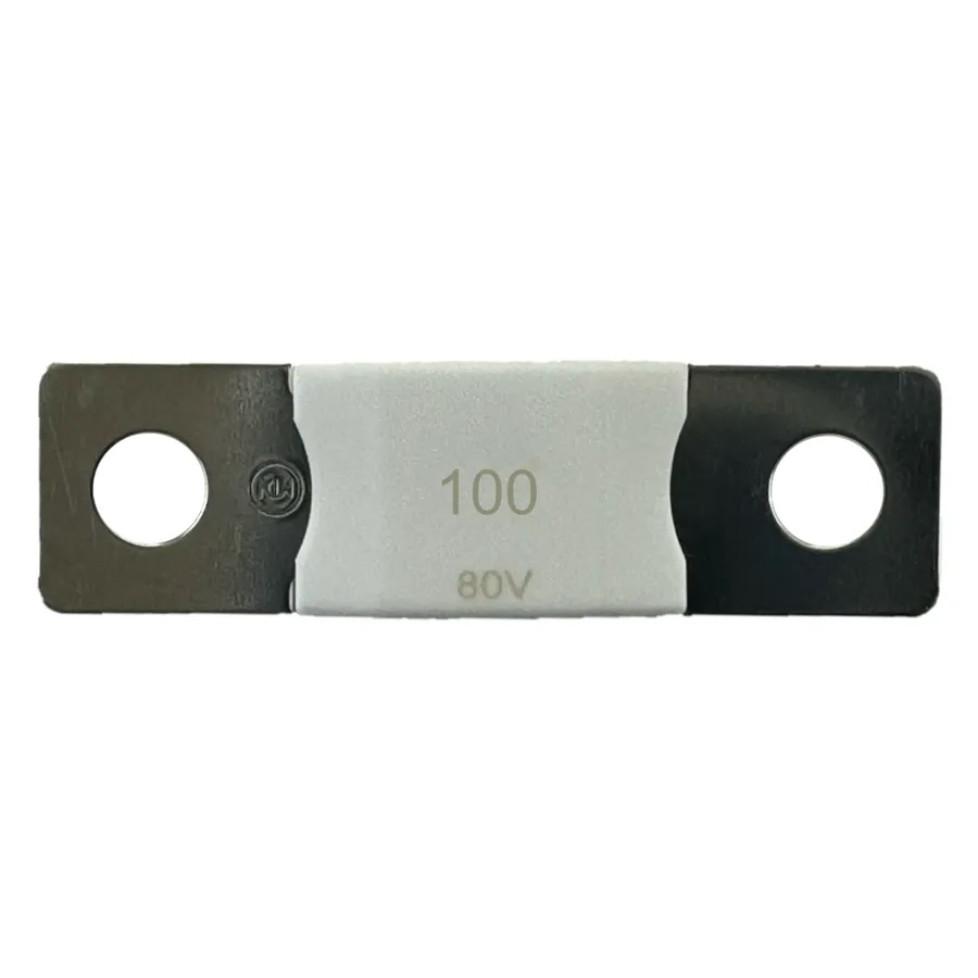 MEGA-fuse 100A/80V (package of 5 pcs) 