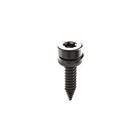 metal sheet screw 5.5x25